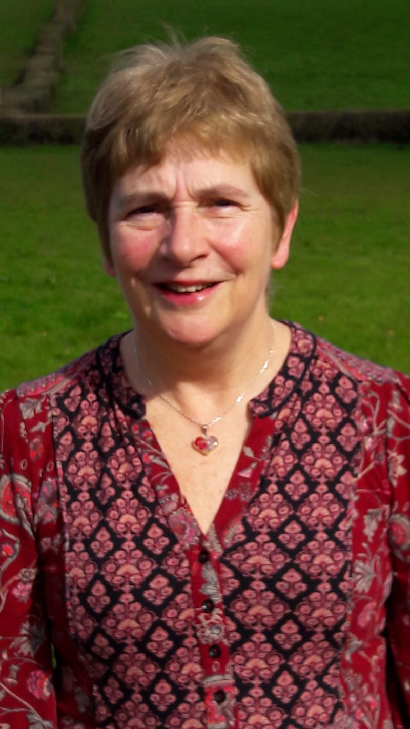 Councillor Carole Willis