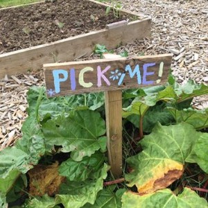Pick me sign in a vegetable garden